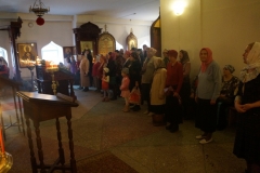 DSC07088