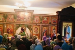 viber image2