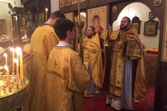 IMG_7546