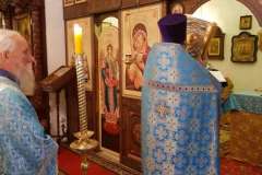 006