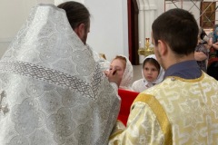 IMG_9578