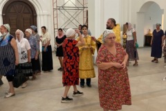 IMG_0478
