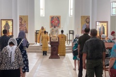 IMG_0661