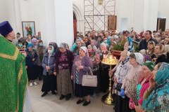 изображение_viber_2022-04-17_17-08-45-119