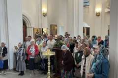 IMG-83bdee54bd22585ea2636e920ca29776-V