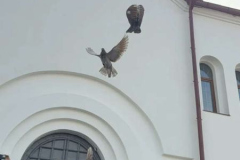 2111
